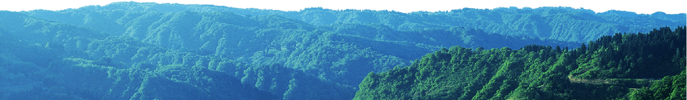 山の写真