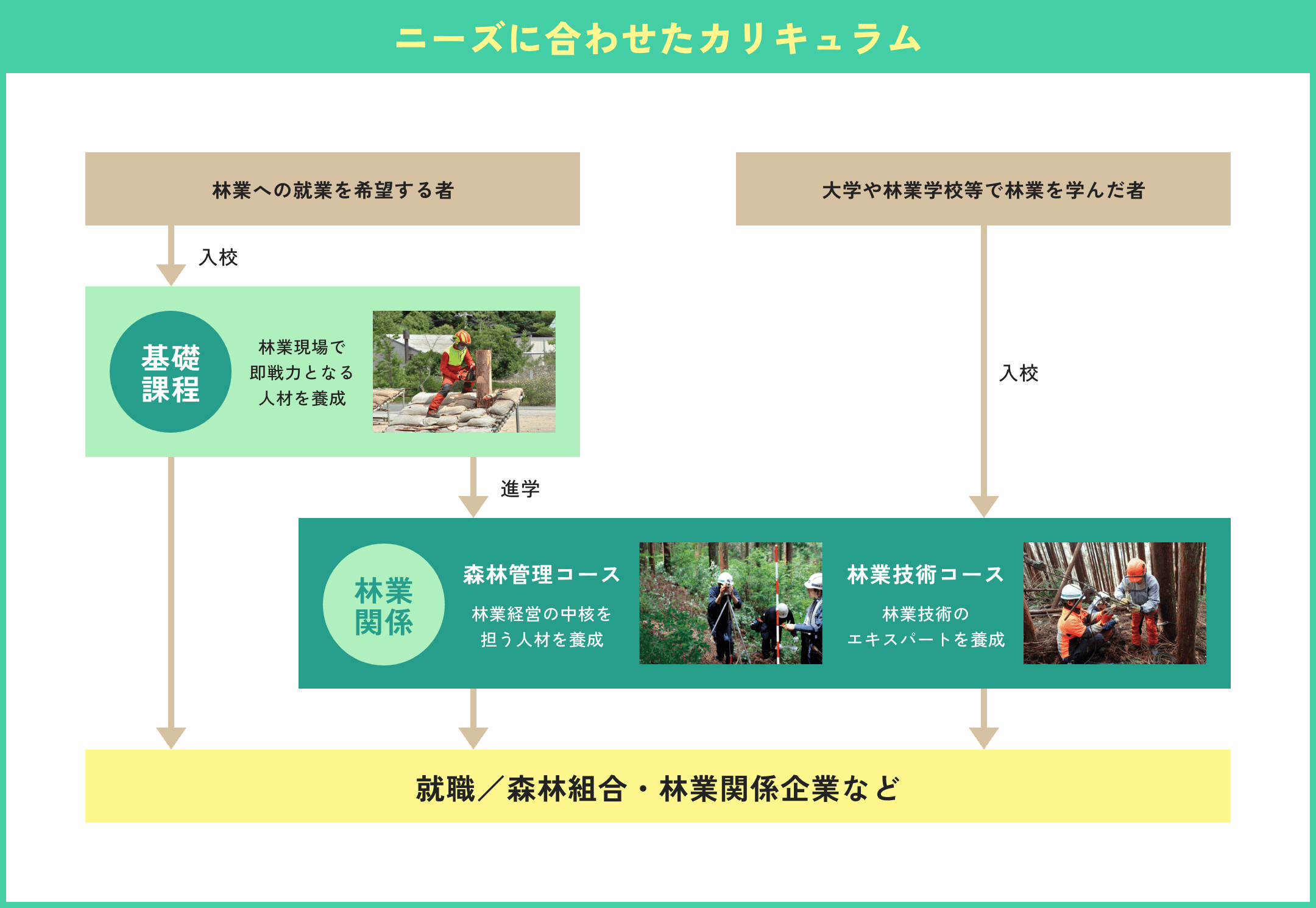 ニーズに合わせたカリキュラム