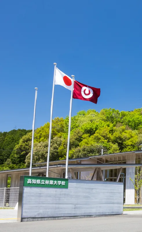 高知県立林業大学校のイメージです